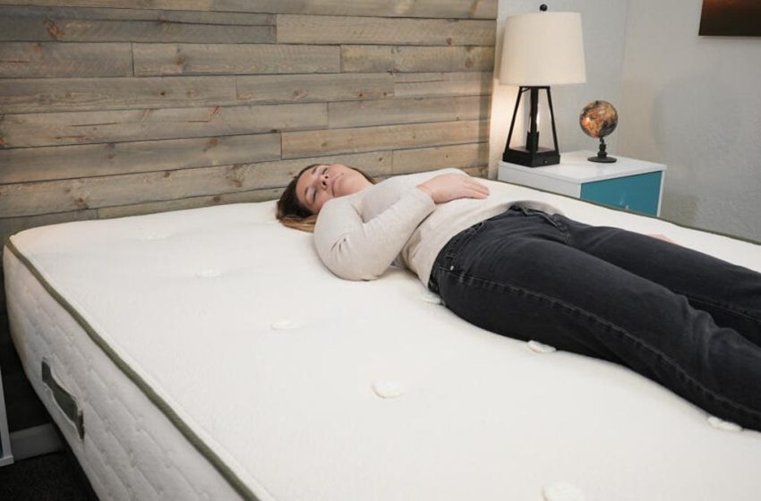  Avocado Vegan Mattress Review 2024: A Vegan, Natural and Certified Organic Bed